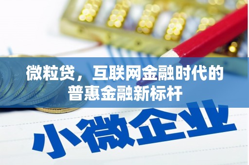 戚墅堰微粒贷，互联网金融时代的普惠金融新标杆