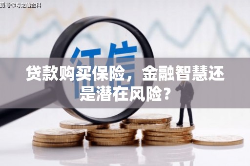 戚墅堰贷款购买保险，金融智慧还是潜在风险？