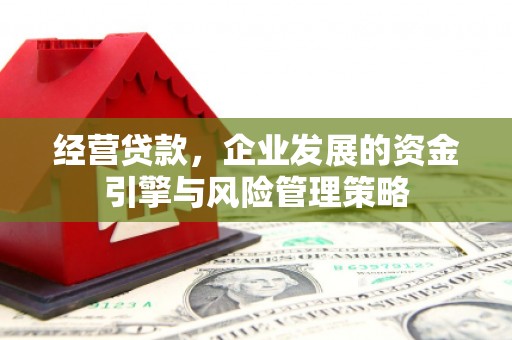 戚墅堰经营贷款，企业发展的资金引擎与风险管理策略