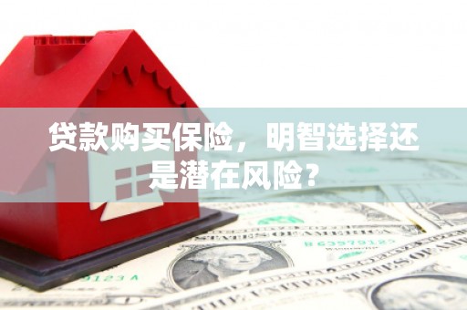 戚墅堰贷款购买保险，明智选择还是潜在风险？