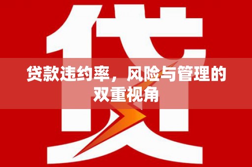 戚墅堰贷款违约率，风险与管理的双重视角