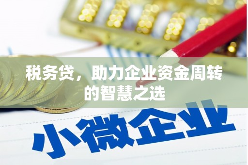戚墅堰税务贷，助力企业资金周转的智慧之选
