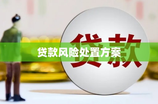 戚墅堰贷款风险处置方案
