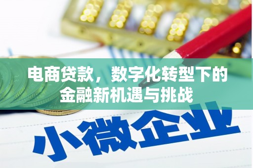 戚墅堰电商贷款，数字化转型下的金融新机遇与挑战