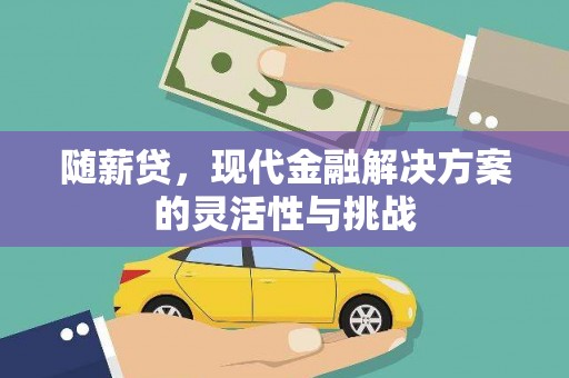 戚墅堰随薪贷，现代金融解决方案的灵活性与挑战