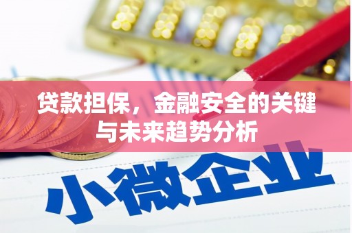 戚墅堰贷款担保，金融安全的关键与未来趋势分析