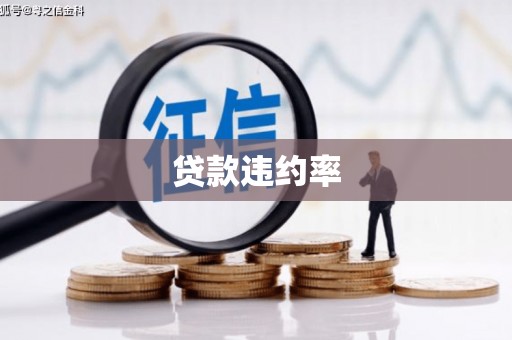 戚墅堰贷款违约率