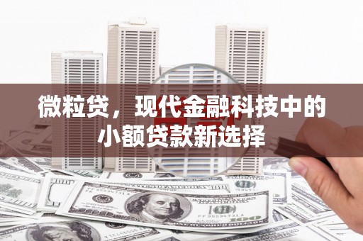 戚墅堰微粒贷，现代金融科技中的小额贷款新选择