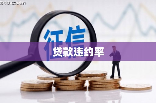 戚墅堰贷款违约率