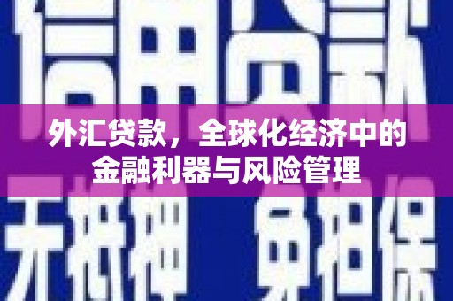 戚墅堰外汇贷款，全球化经济中的金融利器与风险管理