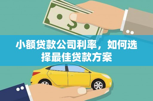 戚墅堰小额贷款公司利率，如何选择最佳贷款方案