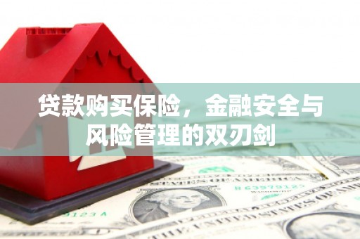 戚墅堰贷款购买保险，金融安全与风险管理的双刃剑