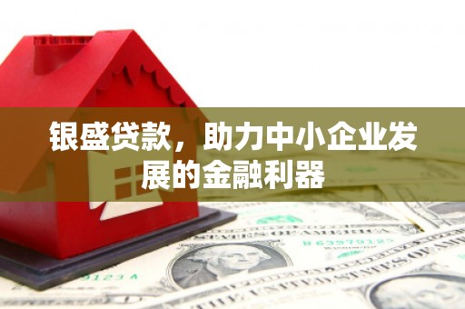 戚墅堰银盛贷款，助力中小企业发展的金融利器