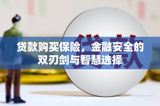 戚墅堰贷款购买保险，金融安全的双刃剑与智慧选择