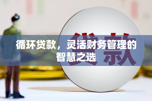 戚墅堰循环贷款，灵活财务管理的智慧之选