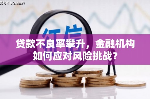 戚墅堰贷款不良率攀升，金融机构如何应对风险挑战？