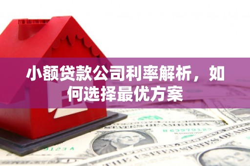 戚墅堰小额贷款公司利率解析，如何选择最优方案