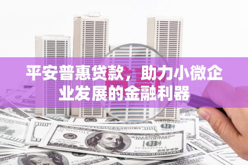 戚墅堰平安普惠贷款，助力小微企业发展的金融利器