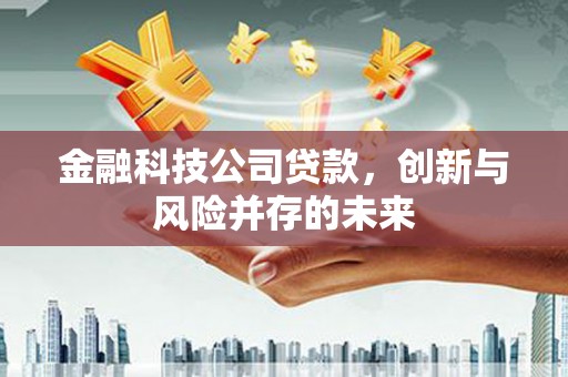 戚墅堰金融科技公司贷款，创新与风险并存的未来