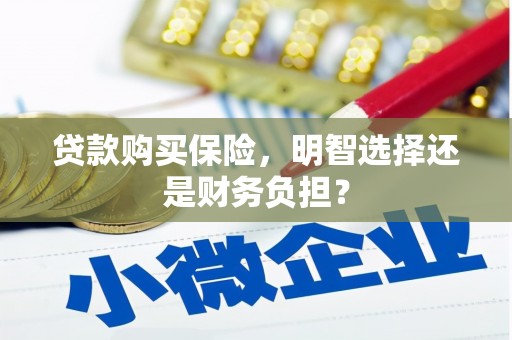 戚墅堰贷款购买保险，明智选择还是财务负担？