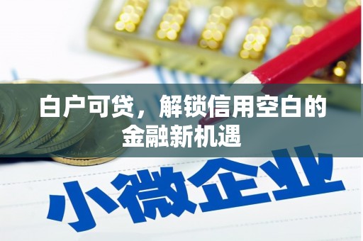 戚墅堰白户可贷，解锁信用空白的金融新机遇