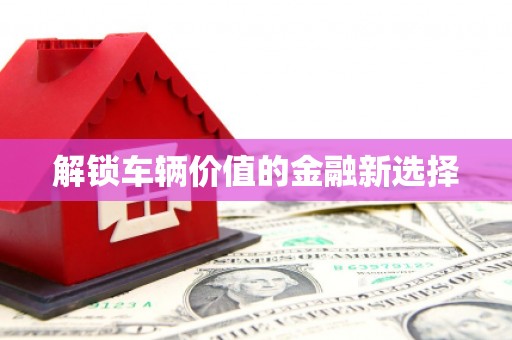 戚墅堰解锁车辆价值的金融新选择