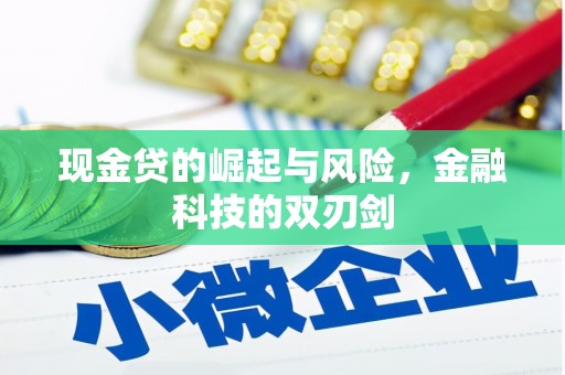戚墅堰现金贷的崛起与风险，金融科技的双刃剑