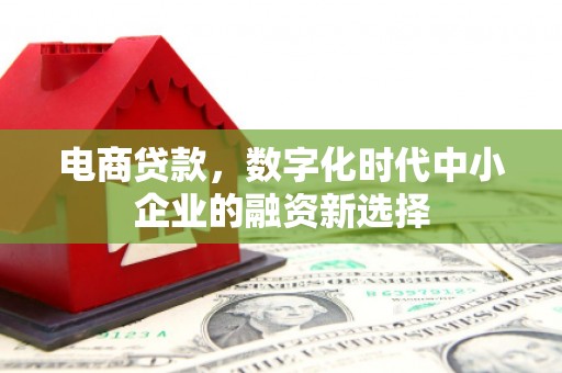 戚墅堰电商贷款，数字化时代中小企业的融资新选择
