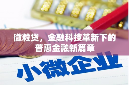 戚墅堰微粒贷，金融科技革新下的普惠金融新篇章