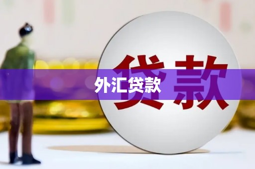 戚墅堰外汇贷款