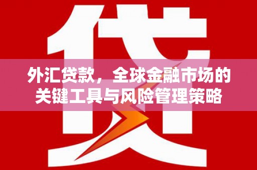 戚墅堰外汇贷款，全球金融市场的关键工具与风险管理策略