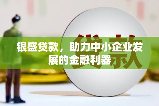 戚墅堰银盛贷款，助力中小企业发展的金融利器