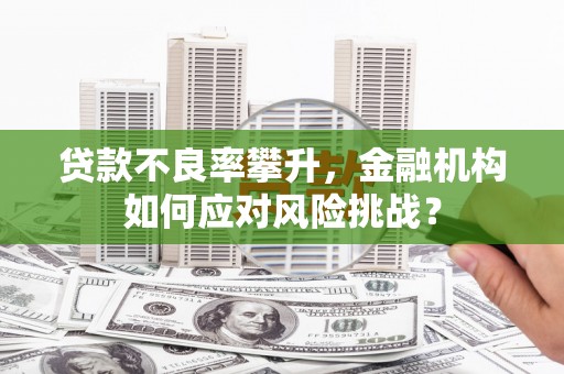 戚墅堰贷款不良率攀升，金融机构如何应对风险挑战？
