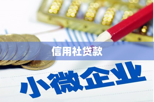戚墅堰信用社贷款