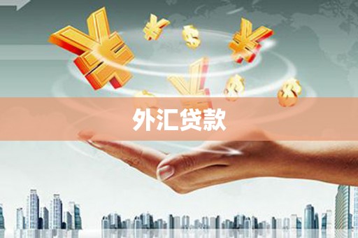 戚墅堰外汇贷款