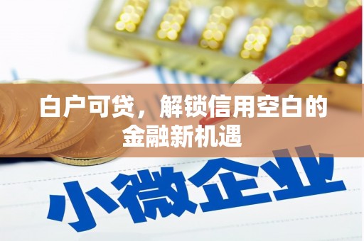 戚墅堰白户可贷，解锁信用空白的金融新机遇