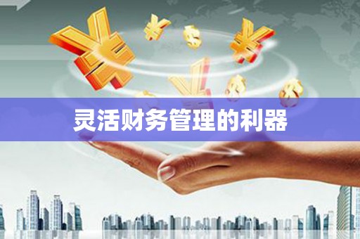 戚墅堰灵活财务管理的利器