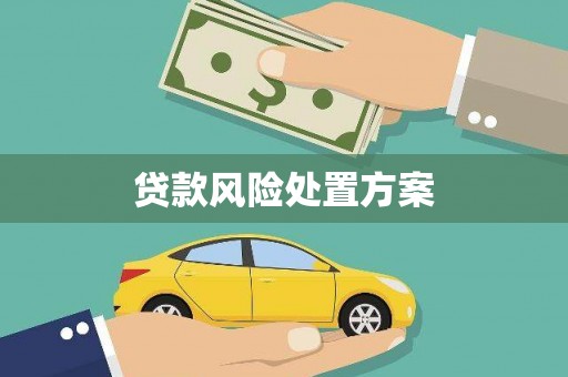 戚墅堰贷款风险处置方案