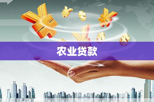 戚墅堰农业贷款