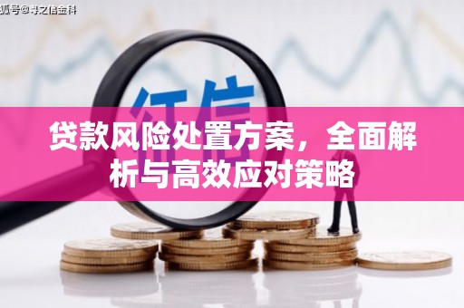 戚墅堰贷款风险处置方案，全面解析与高效应对策略