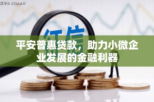 戚墅堰平安普惠贷款，助力小微企业发展的金融利器