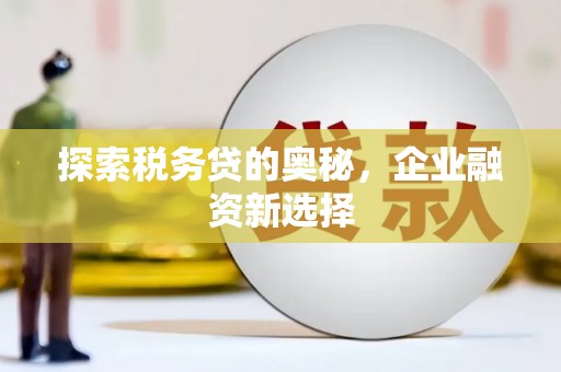 戚墅堰探索税务贷的奥秘，企业融资新选择