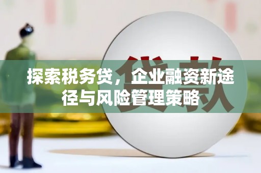 戚墅堰探索税务贷，企业融资新途径与风险管理策略
