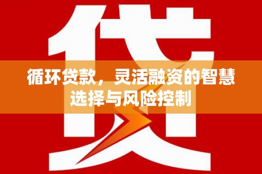 戚墅堰循环贷款，灵活融资的智慧选择与风险控制
