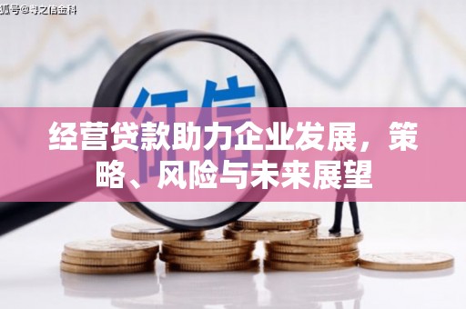 戚墅堰经营贷款助力企业发展，策略、风险与未来展望