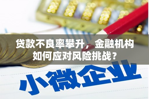 戚墅堰贷款不良率攀升，金融机构如何应对风险挑战？