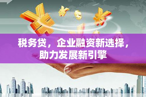 戚墅堰税务贷，企业融资新选择，助力发展新引擎