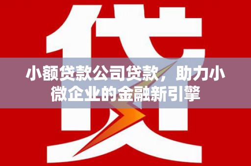 戚墅堰小额贷款公司贷款，助力小微企业的金融新引擎