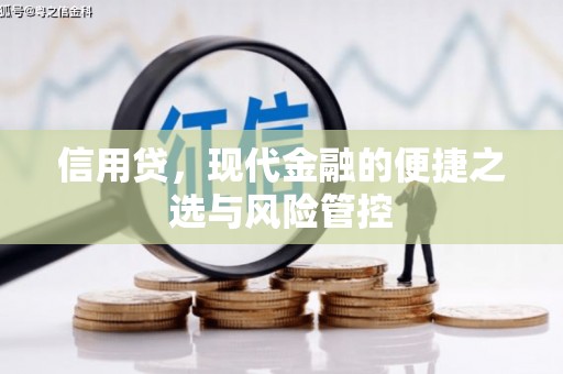 戚墅堰信用贷，现代金融的便捷之选与风险管控