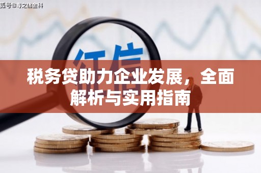 戚墅堰税务贷助力企业发展，全面解析与实用指南